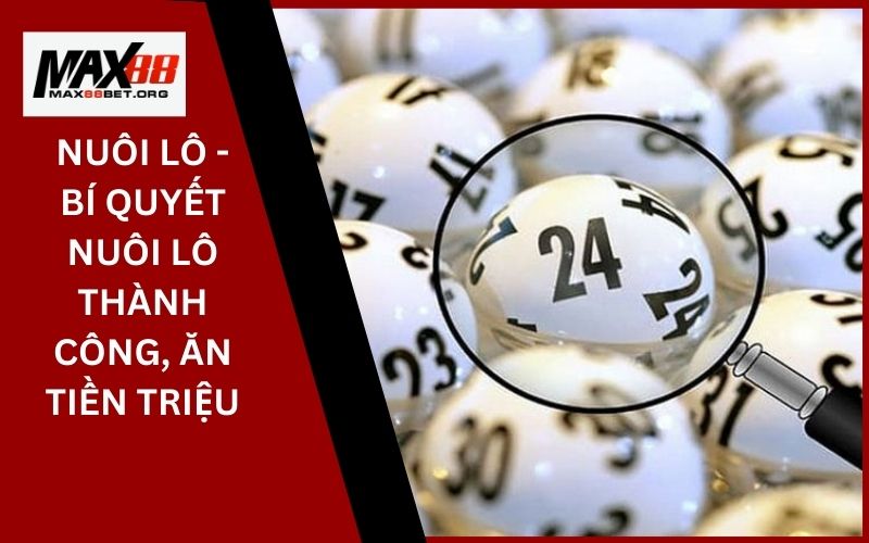 Nuôi Lô - Bí Quyết Nuôi Lô Thành Công, Ăn Tiền Triệu 9 Nuôi Lô - Bí Quyết Nuôi Lô Thành Công, Ăn Tiền Triệu