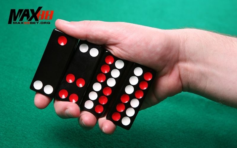 Bài cẩu là gì: Cách chơi và luật chơi bài cẩu chi tiết 2 bài cẩu là gì